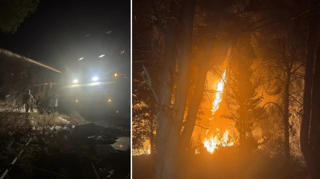 Antalya’nın Aksu ilçesinde orman yangını çıktı