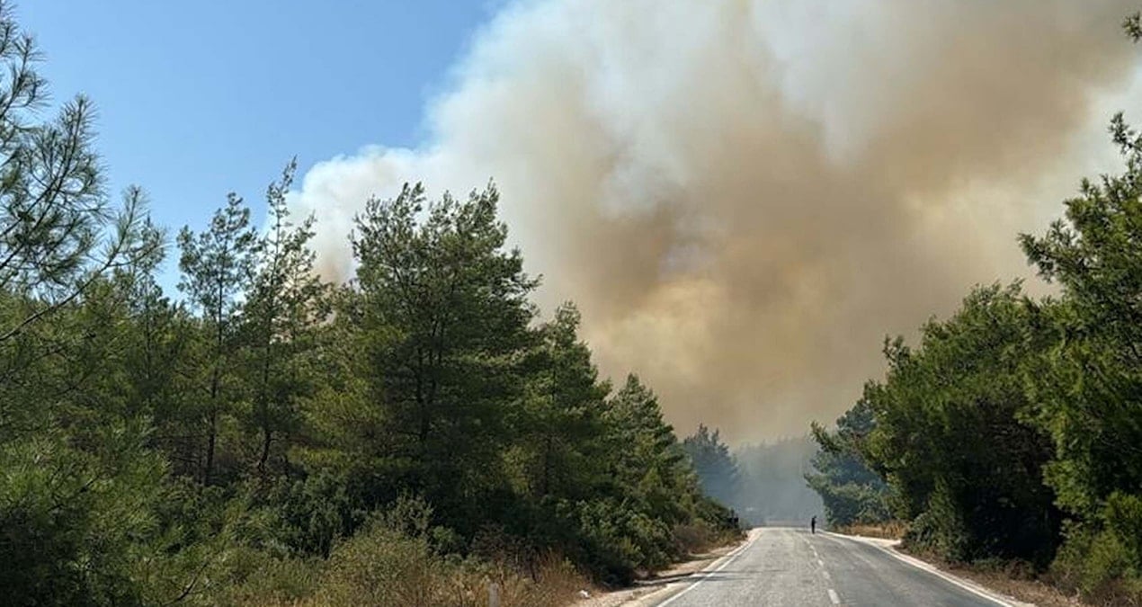 Bodrum’da orman yangını: Havadan ve karadan müdahale başladı