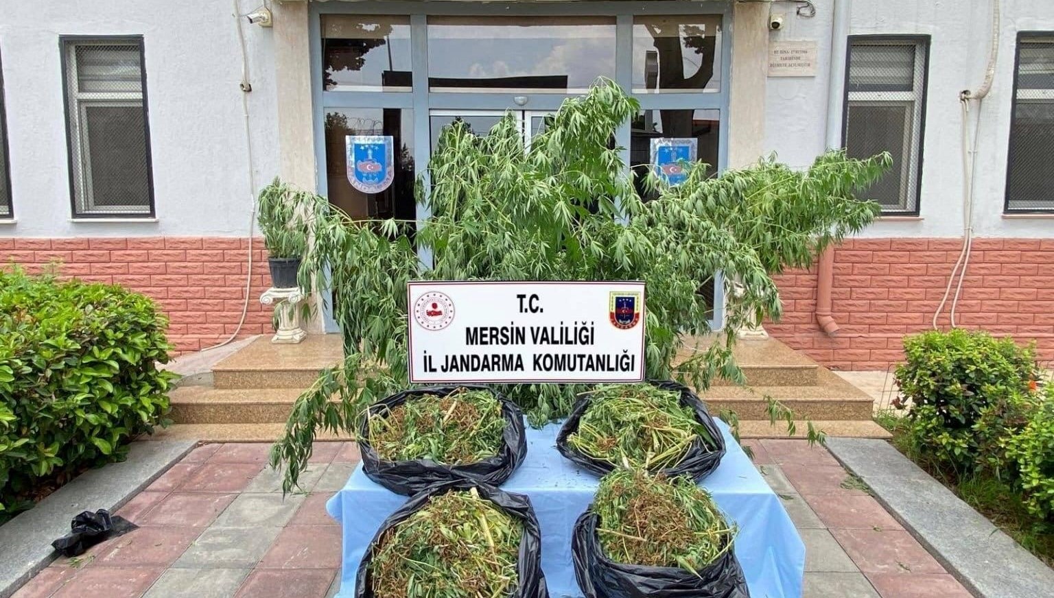 Mersin’de uyuşturucu operasyonu