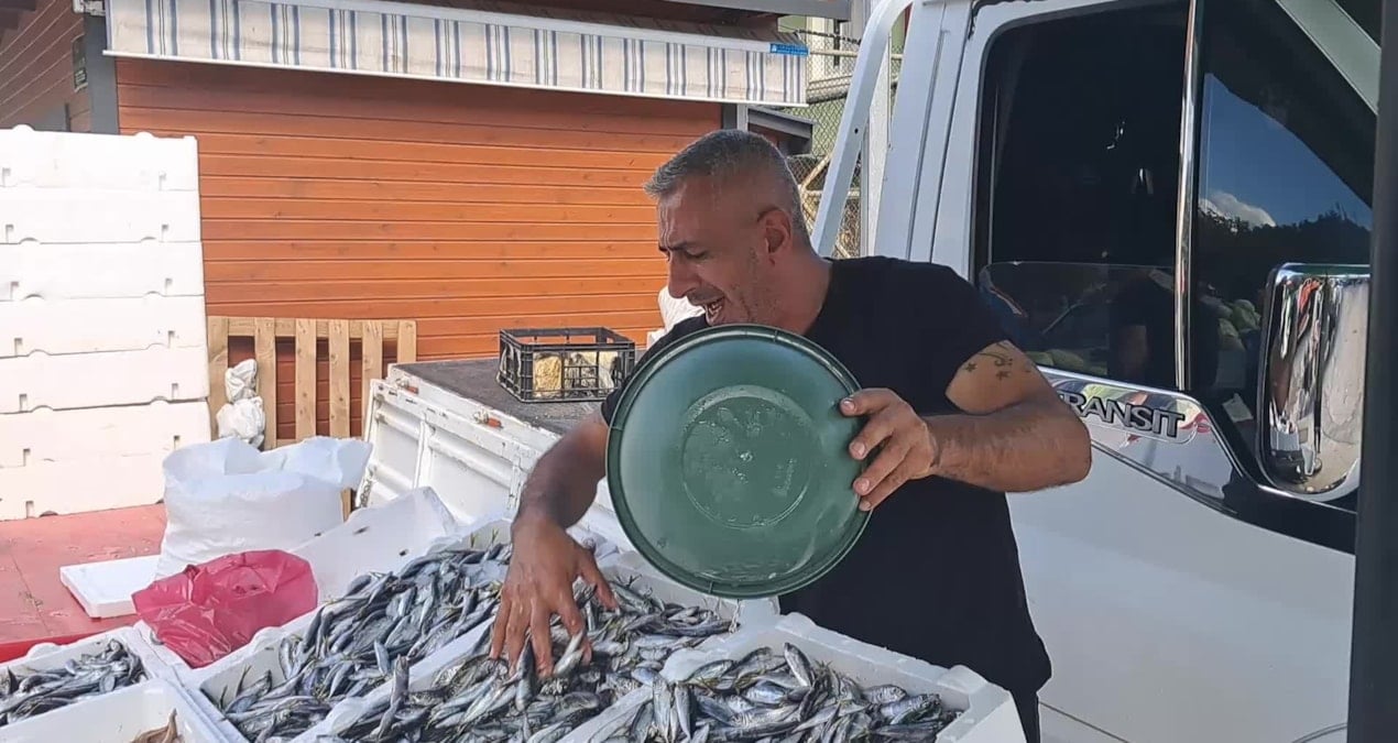 Artvin’de balık tezgahları boş kaldı: Balığın sadece adı kaldı