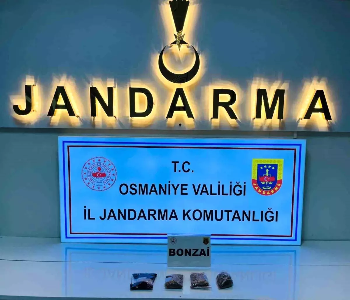 Osmaniye’de Jandarmadan Büyük Operasyon: 124 Şüpheli Gözaltına Alındı