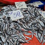 tekirdagda hamsinin kilosu 50 liraya kadar dustu RTuf8jkX.jpg