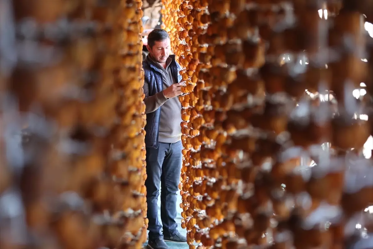 Bahçeli’de Cennet Hurması İle Yenilik