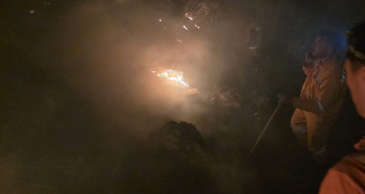 Hatay’da ormanlık alanda yangın