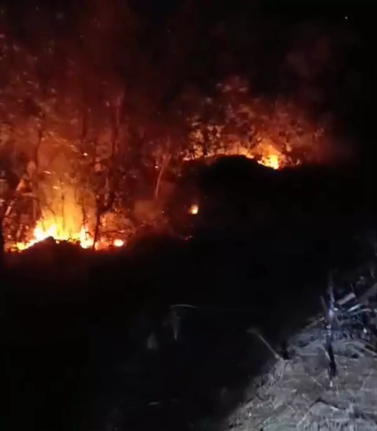 Hatay’da Yıldırım Düşmesi Sonucu Orman Yangınları Kontrol Altına Alındı
