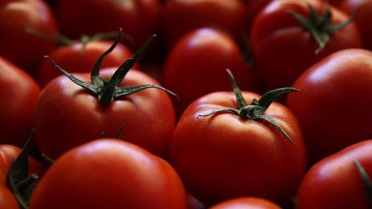 turkiyenin-domates-ihracati-401-milyon-dolari-asti-3r6UhZHS.jpg