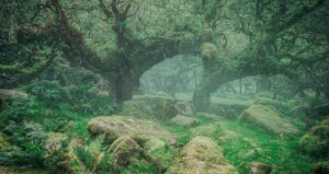 denizin-altinda-binlerce-yillik-gizli-hazine-bulundu-5UQtXesU