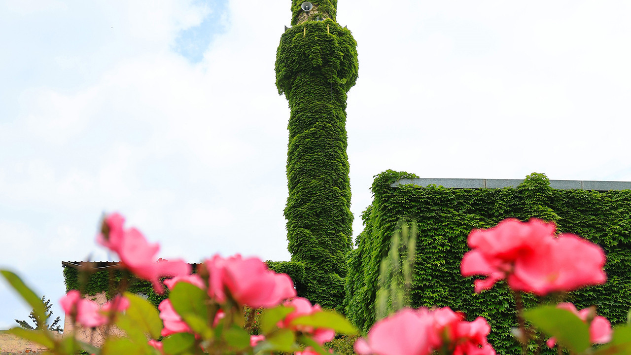 Baharın Gelişiyle Yeşeren Camii: Köprüköy Camisi’nin Göz Alıcı Görünümü