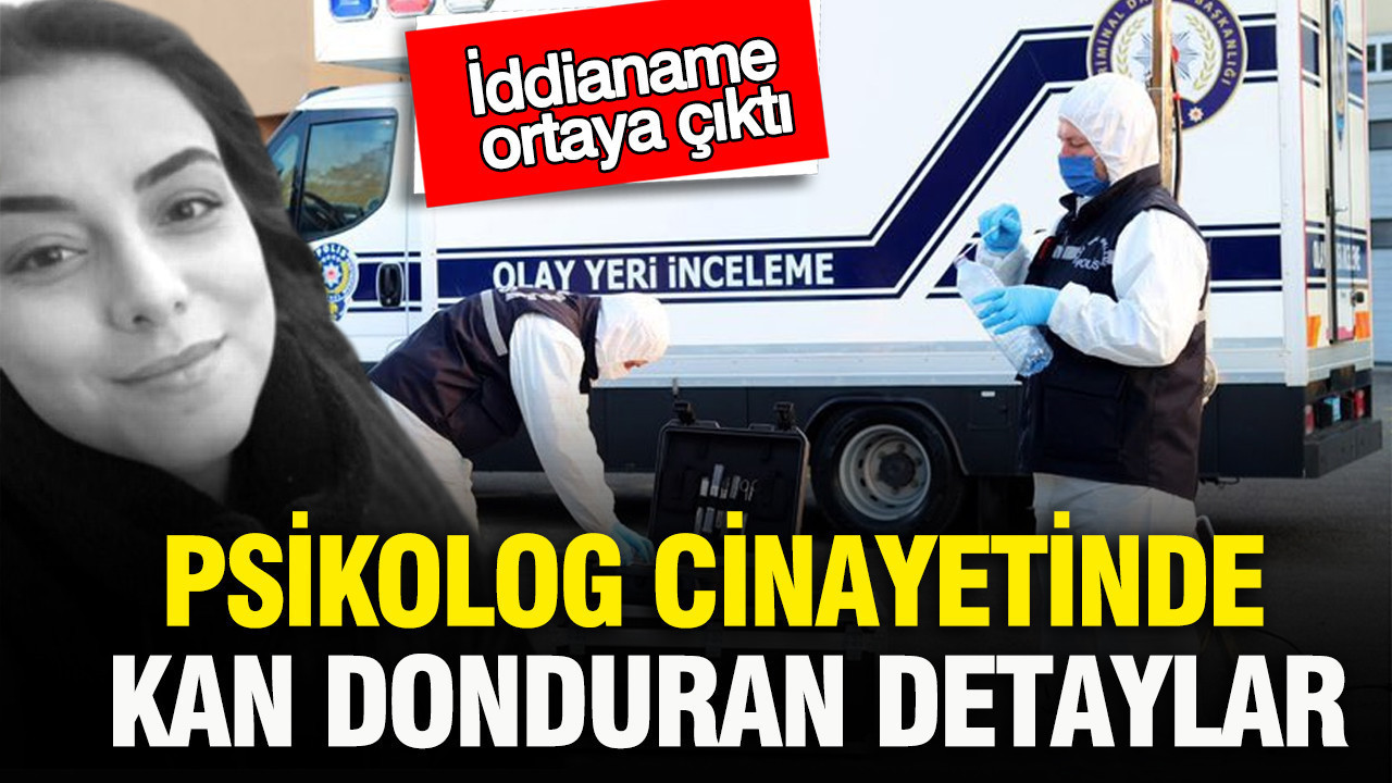 Psikolog cinayetiyle ilgili çarpıcı detaylar: İddianame açıklandı