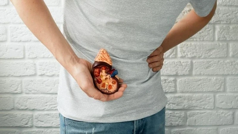 Yetersiz Su Tüketimi, Böbrek Taşı Oluşumunu Tetikleyebilir