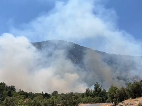 Antalyada ormanlik alanda yangin ekiplerin mudahalesi suruyor VY2eLQRD