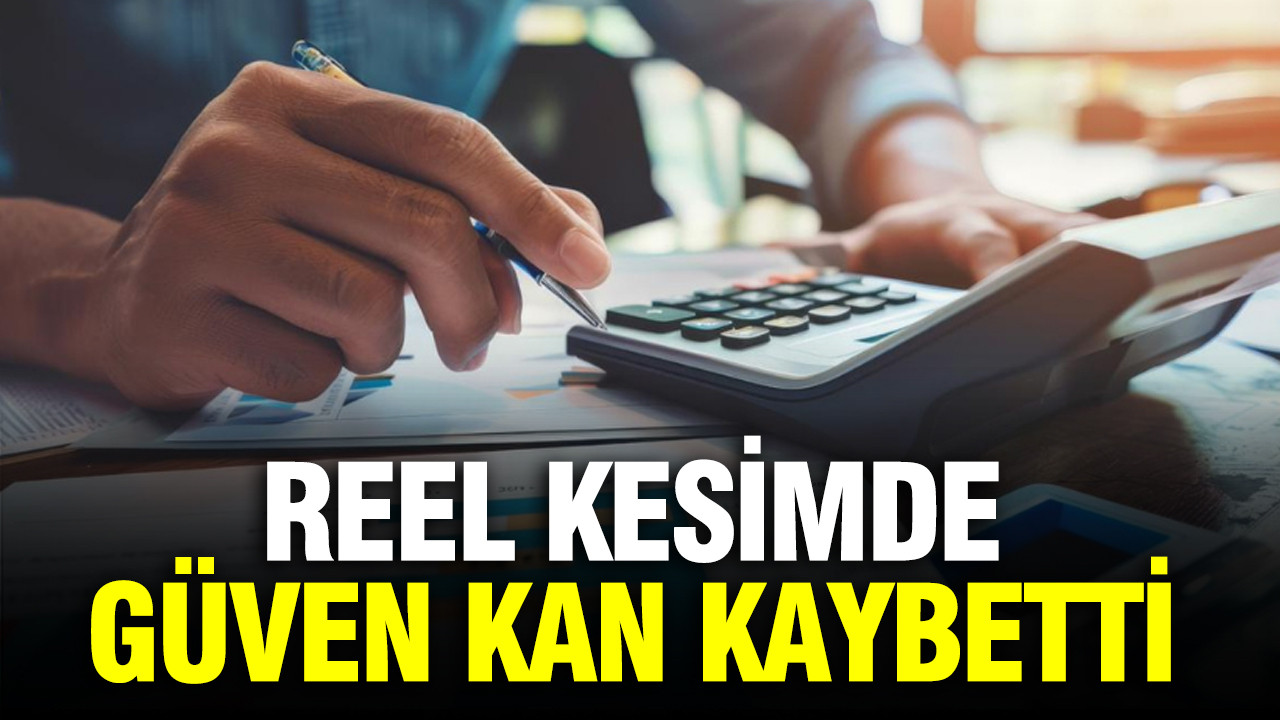 Merkez bankasi acikladi reel kesimde guven kan kaybetti za1c